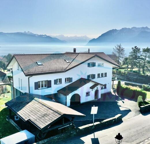 Magnifique appartement en attique, de type loft au bénéfice d'un emplacement idéal alliant tranquillité, vue, ensoleillement et accessibilité.